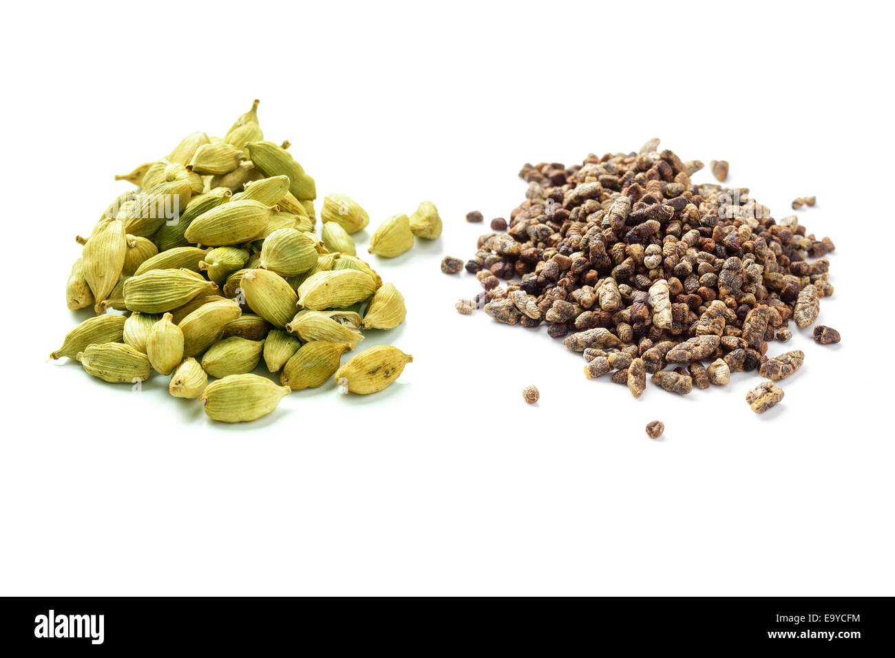 Cardamom seeds and pods Stock Photo Alamy
