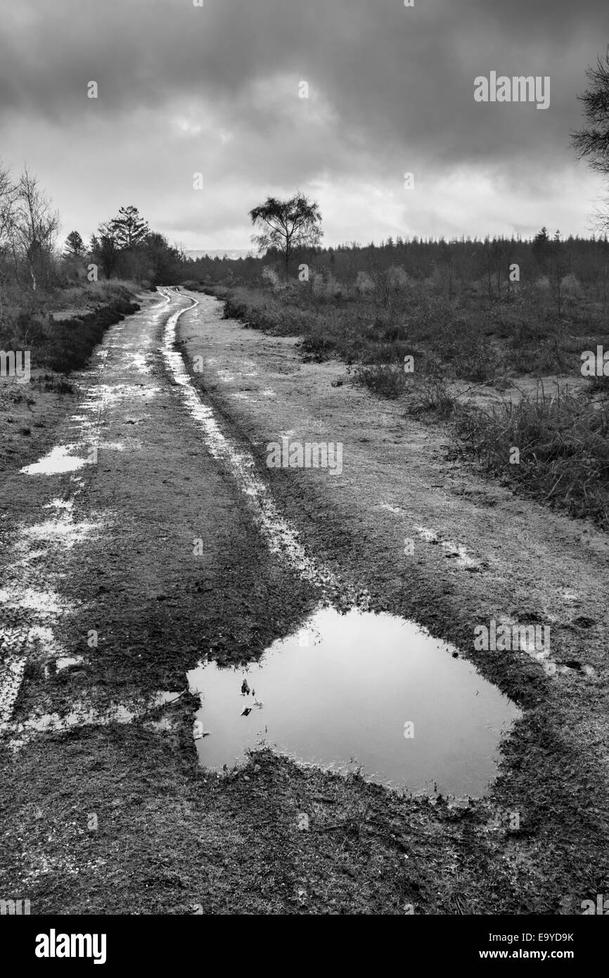 Muddy bridleway heading into the distance across open heathland. Stock Photo