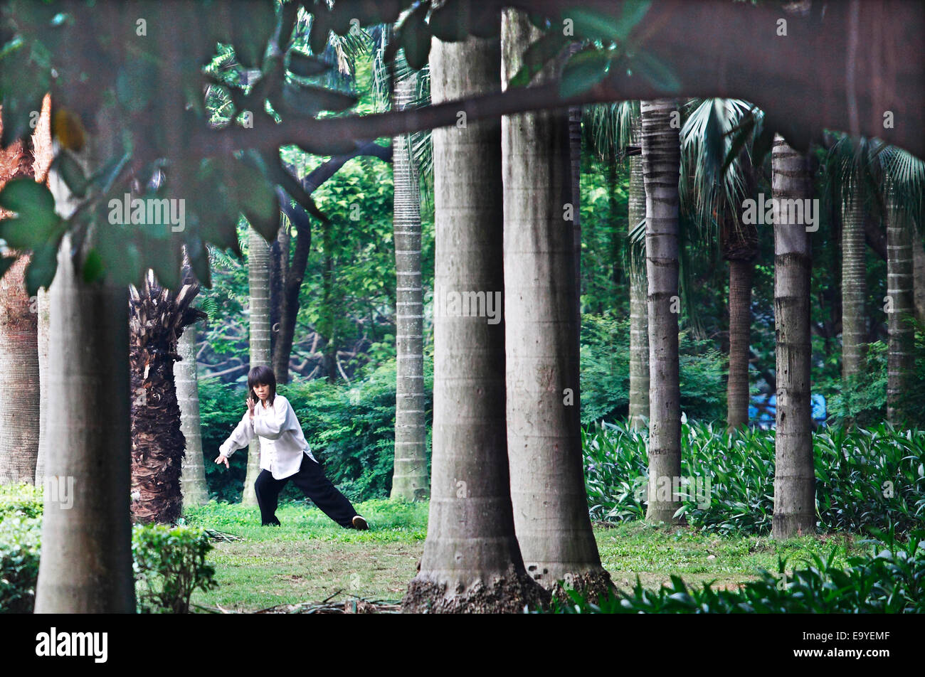 Woods morning hi-res stock photography and images - Alamy