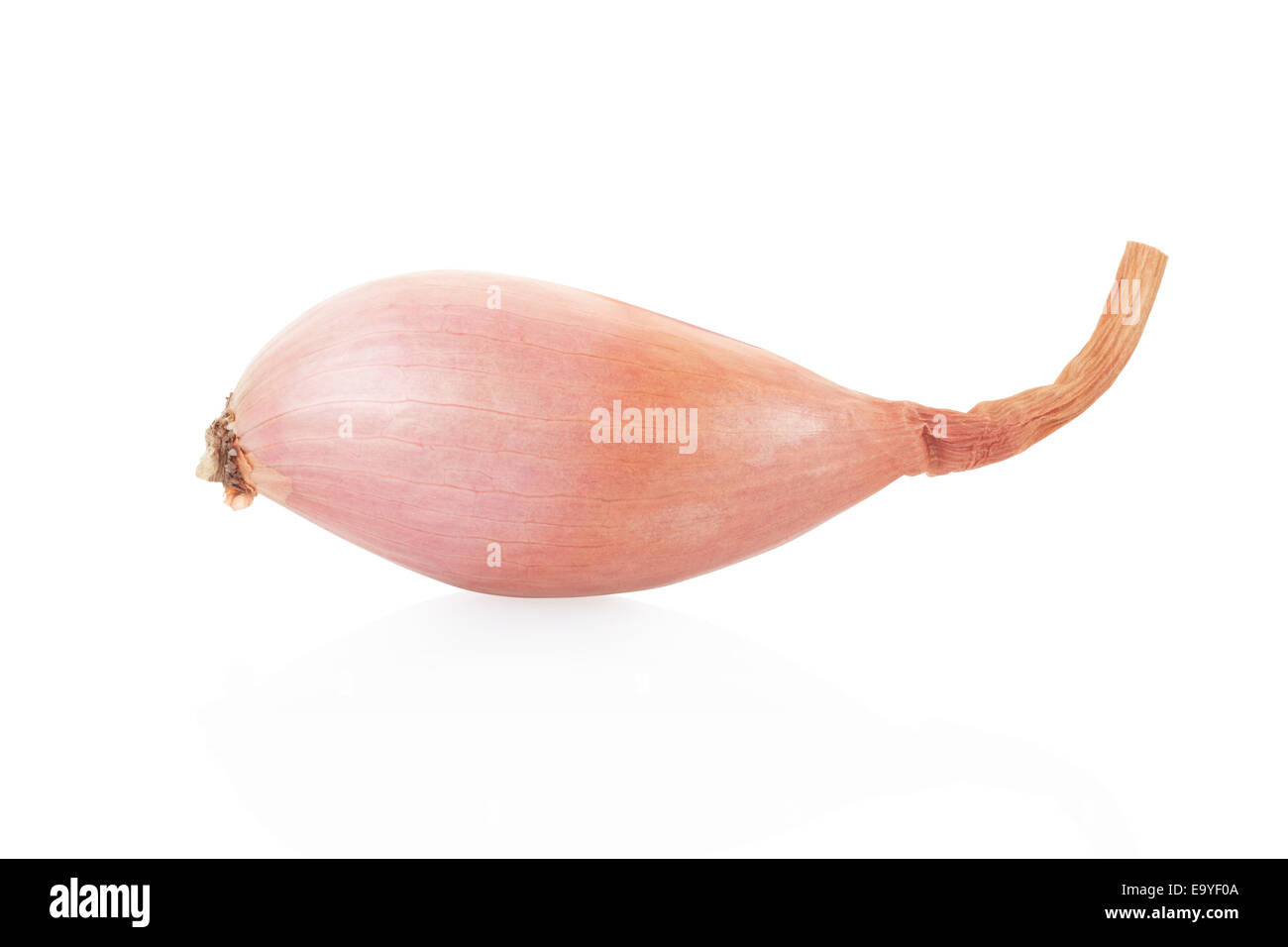 Big Shallots Stock Photos - Free & Royalty-Free Stock Photos from