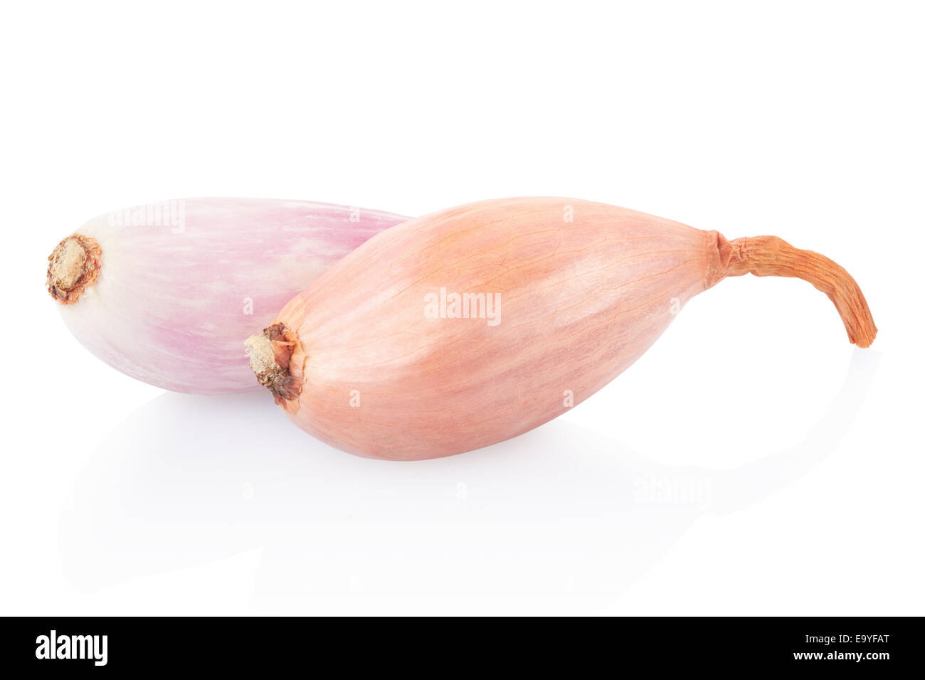 Shallot Stock Photos and Images - 123RF