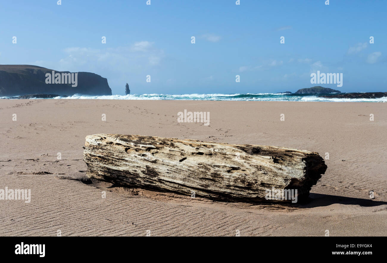 Log Washed up on the Beach of Sandwood Bay with the Seastack of Am Buachaille Behind, Sutherland Scotland UK Stock Photo