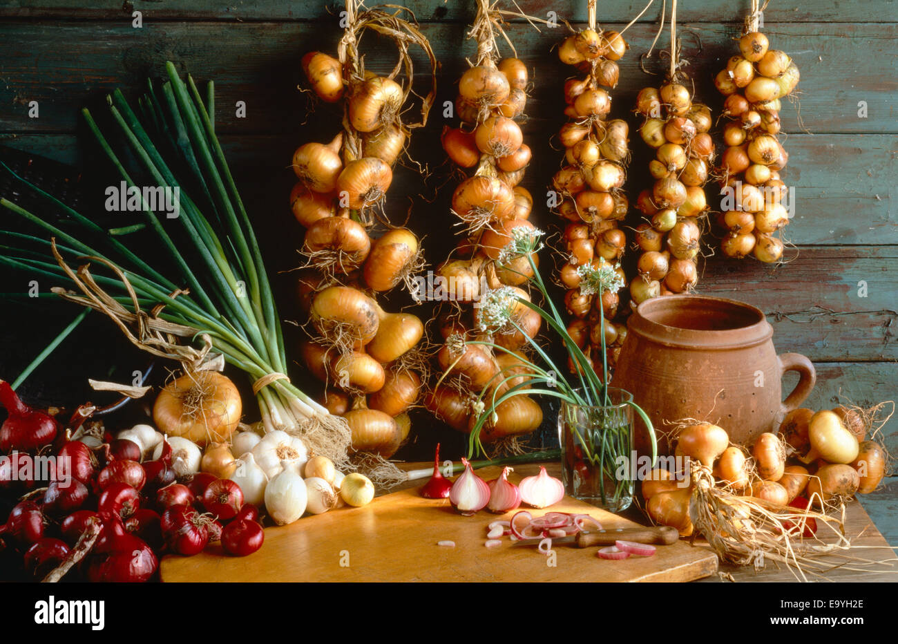 Agriculture Onion stilllife; red, white and yellow onions, shallots