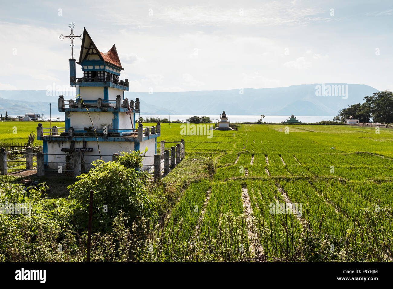 Jonli TV jinsiy aloqa