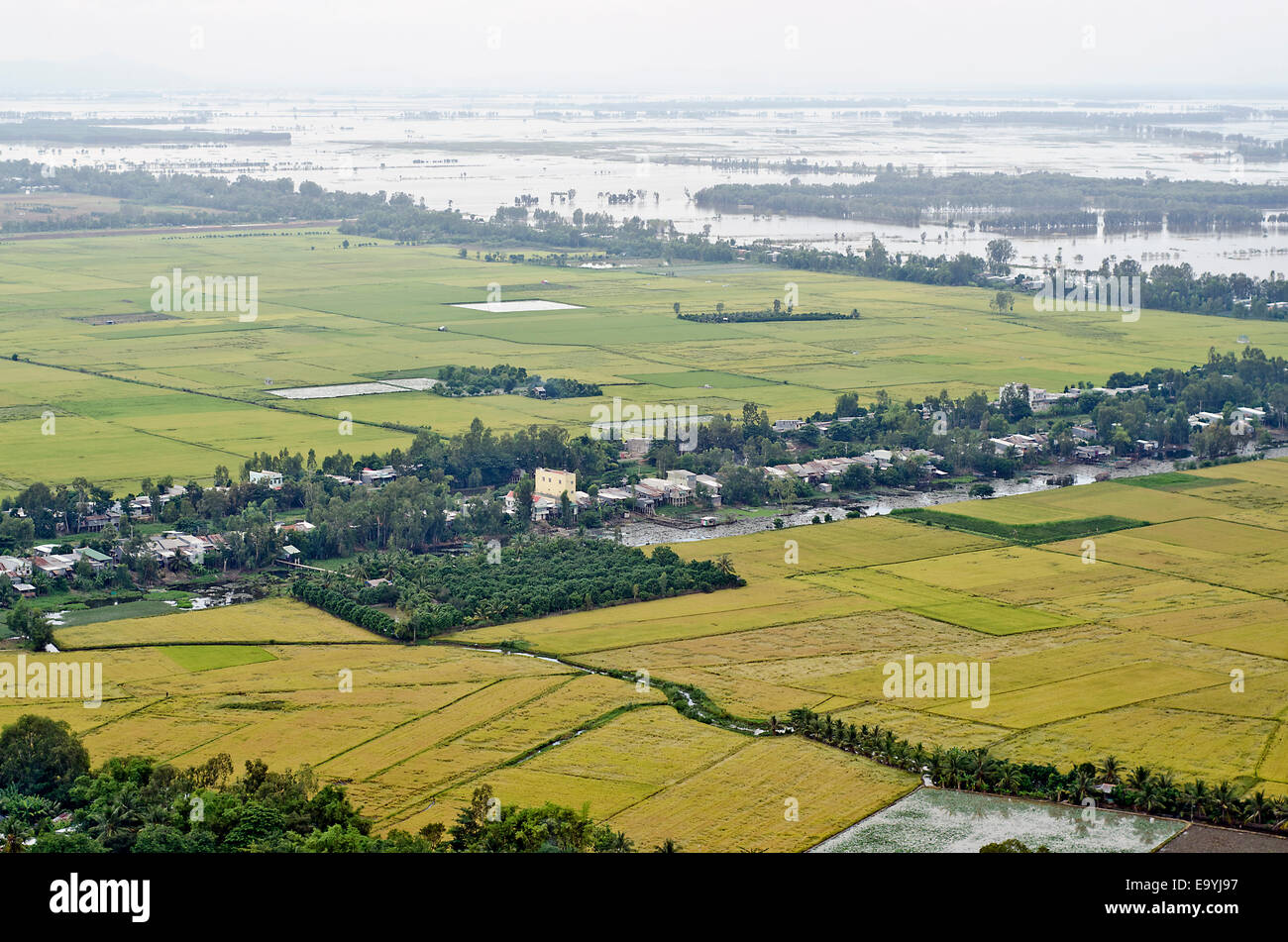Mekong Delta rice fields ,view from Sam mountain,Chau Doc Stock Photo