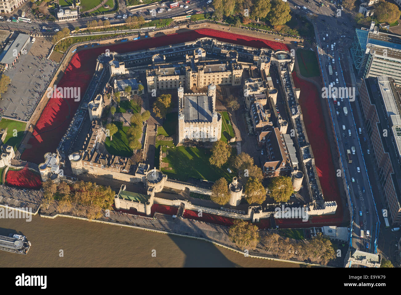 Tower of london poppies aerial hi-res stock photography and images - Alamy