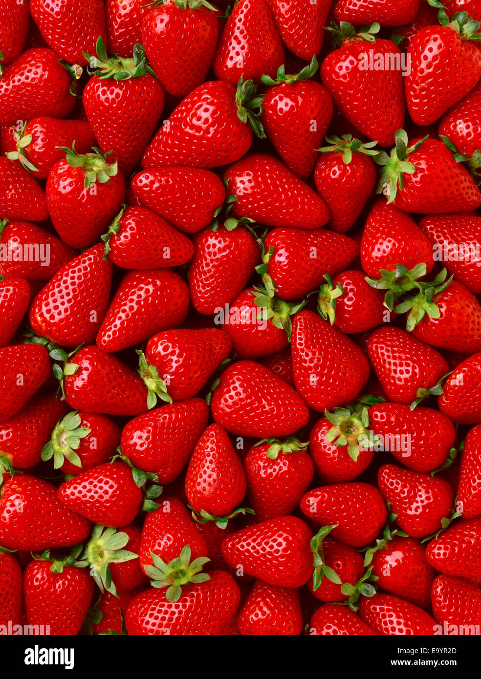 Agriculture - Full frame of ripe strawberries Stock Photo - Alamy
