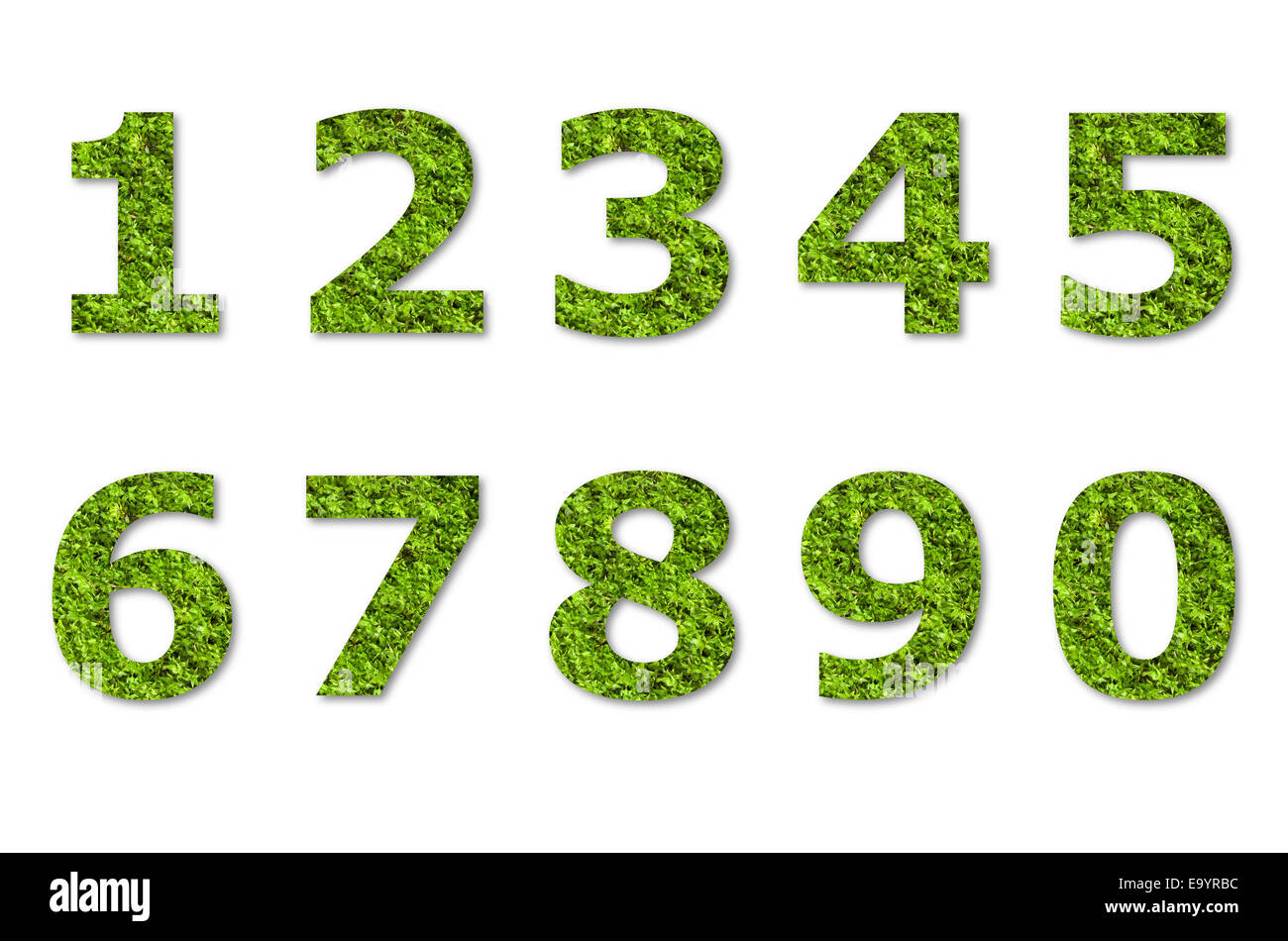 Arabic numeric green lichen isolated hi res stock photography and