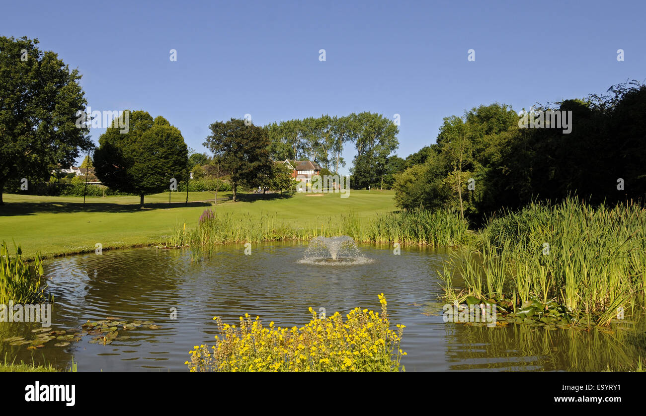 View over Pond with wild flowers to 18th Green East Course Sundridge Park Golf Club Bromley Kent England Stock Photo