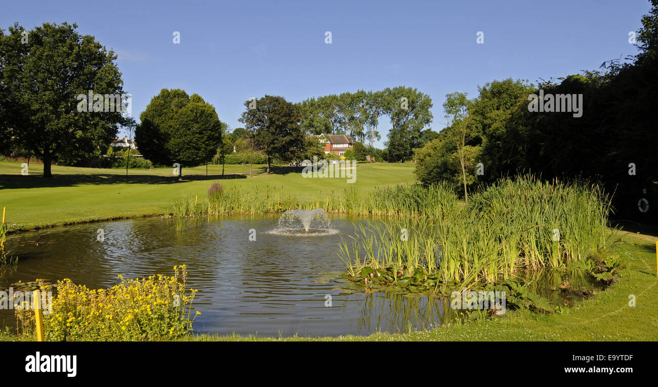 View over Pond with wild flowers to 18th Green East Course Sundridge Park Golf Club Bromley Kent England Stock Photo