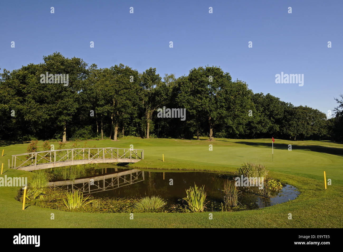 View over Pond with footbridge to 6th Green East Course Sundridge Park Golf Club Bromley Kent England Stock Photo