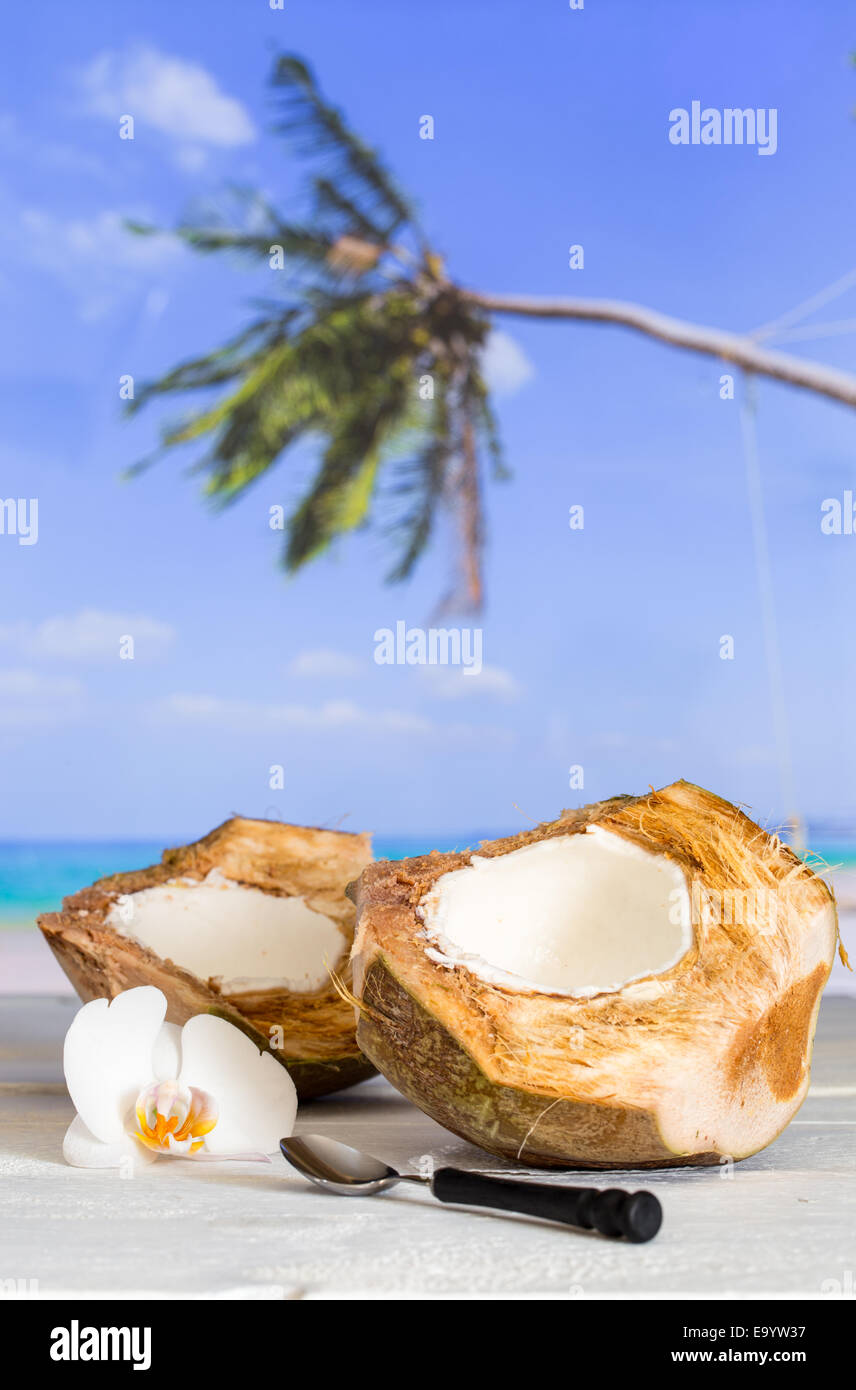 Coconut at beach with bucket and orchid. Stock Photo