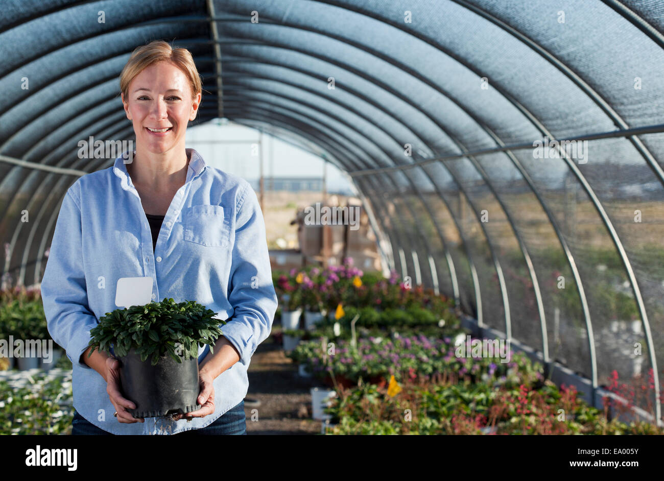 Portrait of mature female worker holding potted plant in plant nursery ...