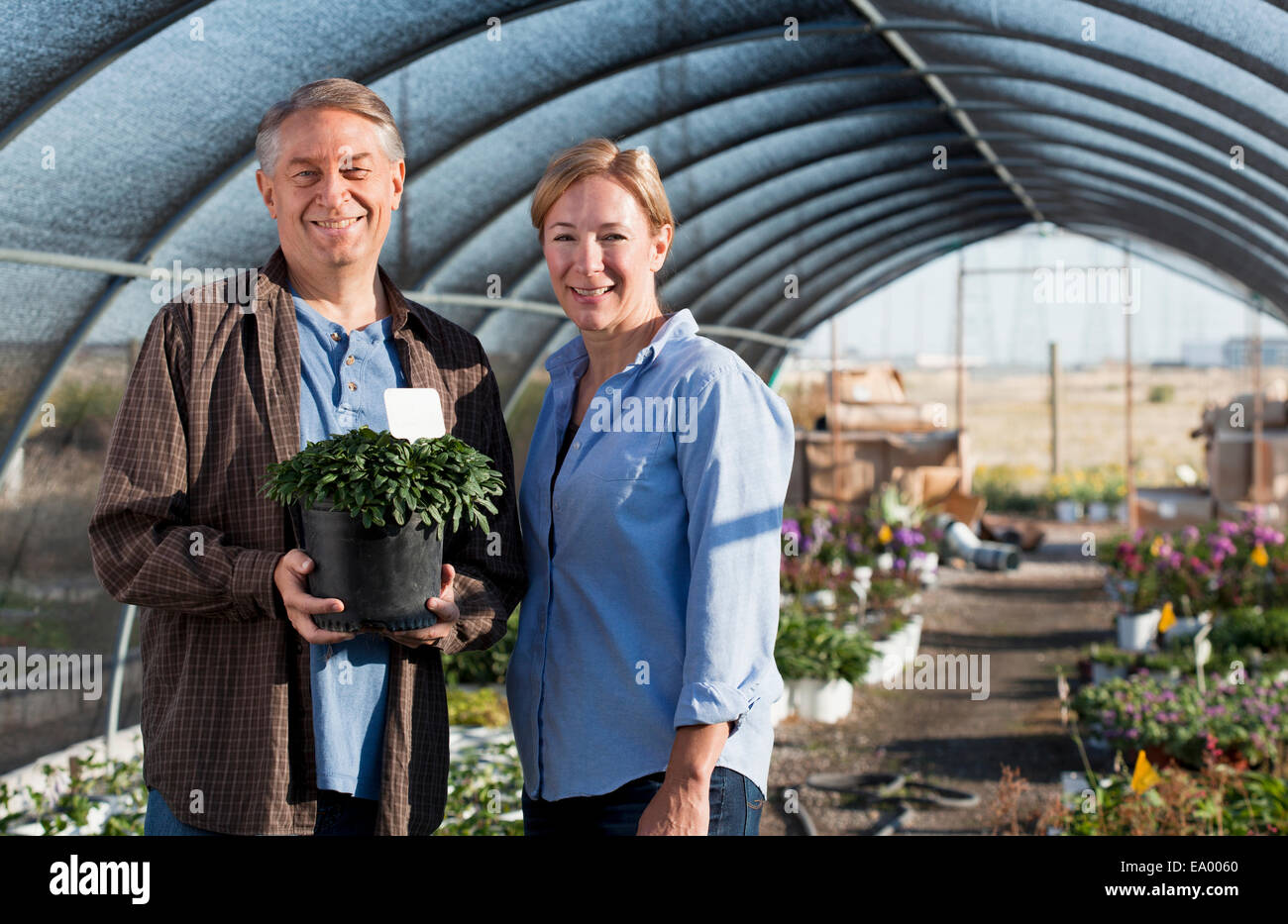 Portrait of mature male and female workers holding potted plant in plant nursery polytunnel Stock Photo