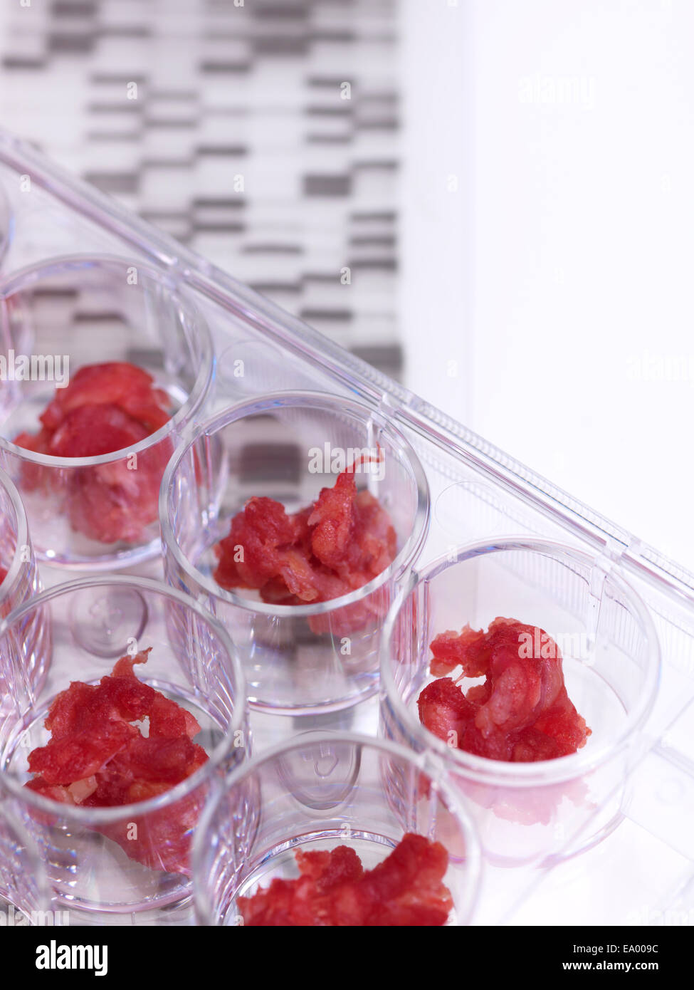Samples of meat being DNA tested in food standards laboratory Stock Photo