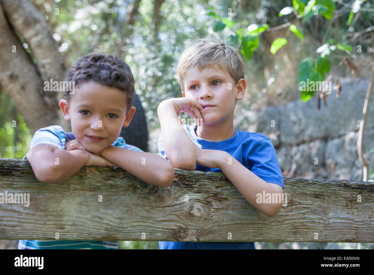 Portrait of two boys leaning on garden fence Stock Photo