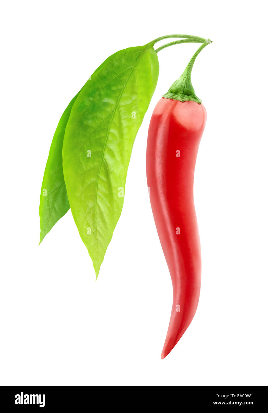 Hanging chili pepper hires stock photography and images Alamy