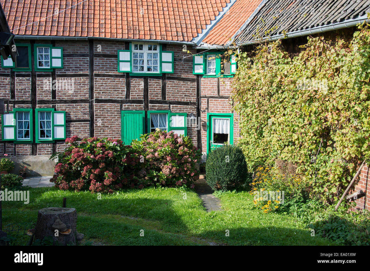 garden in front of old fram house with windows and green shutters Stock Photo