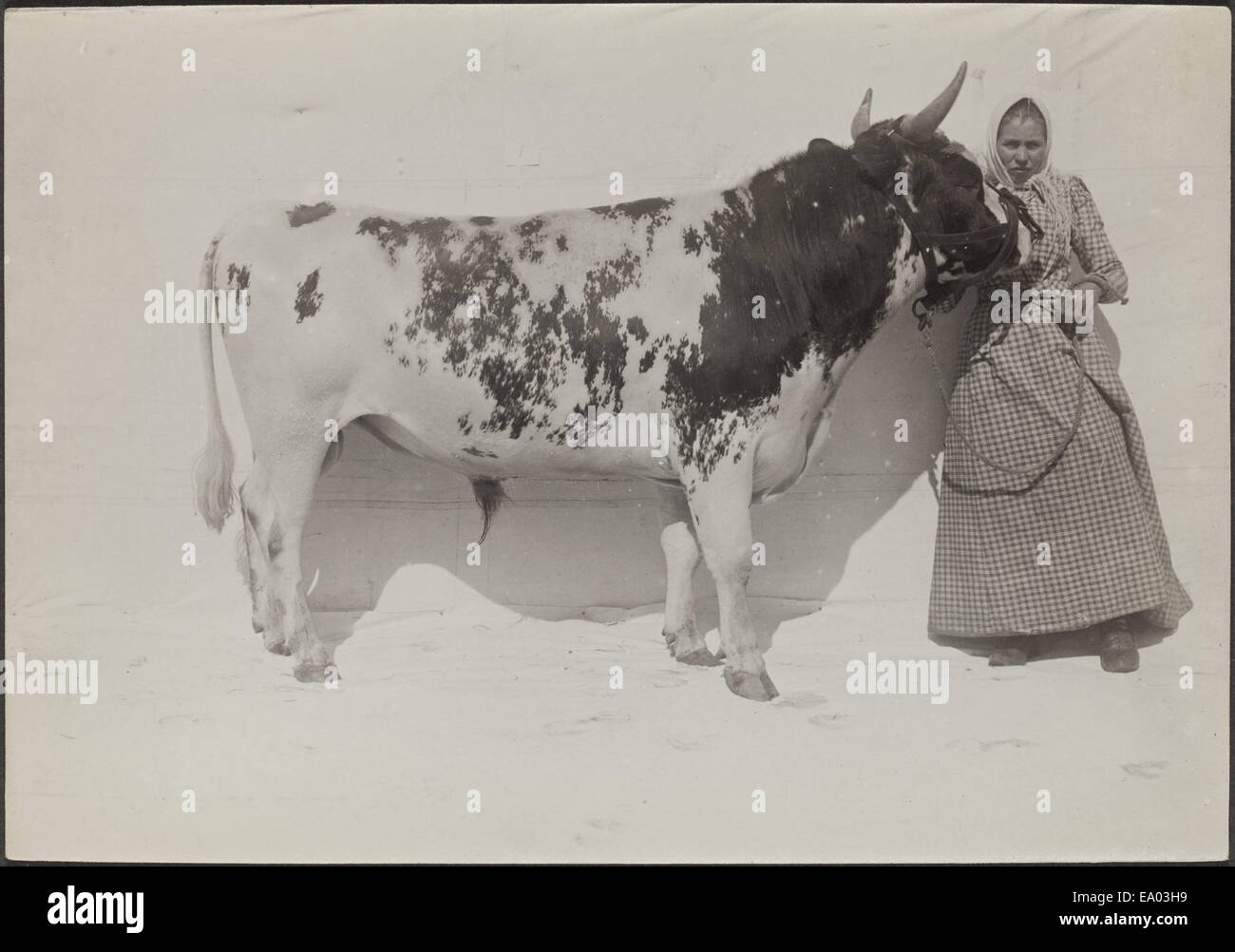 A photograph of the IK Inha Finnish Agriculture D2000 model 48 190, an ...