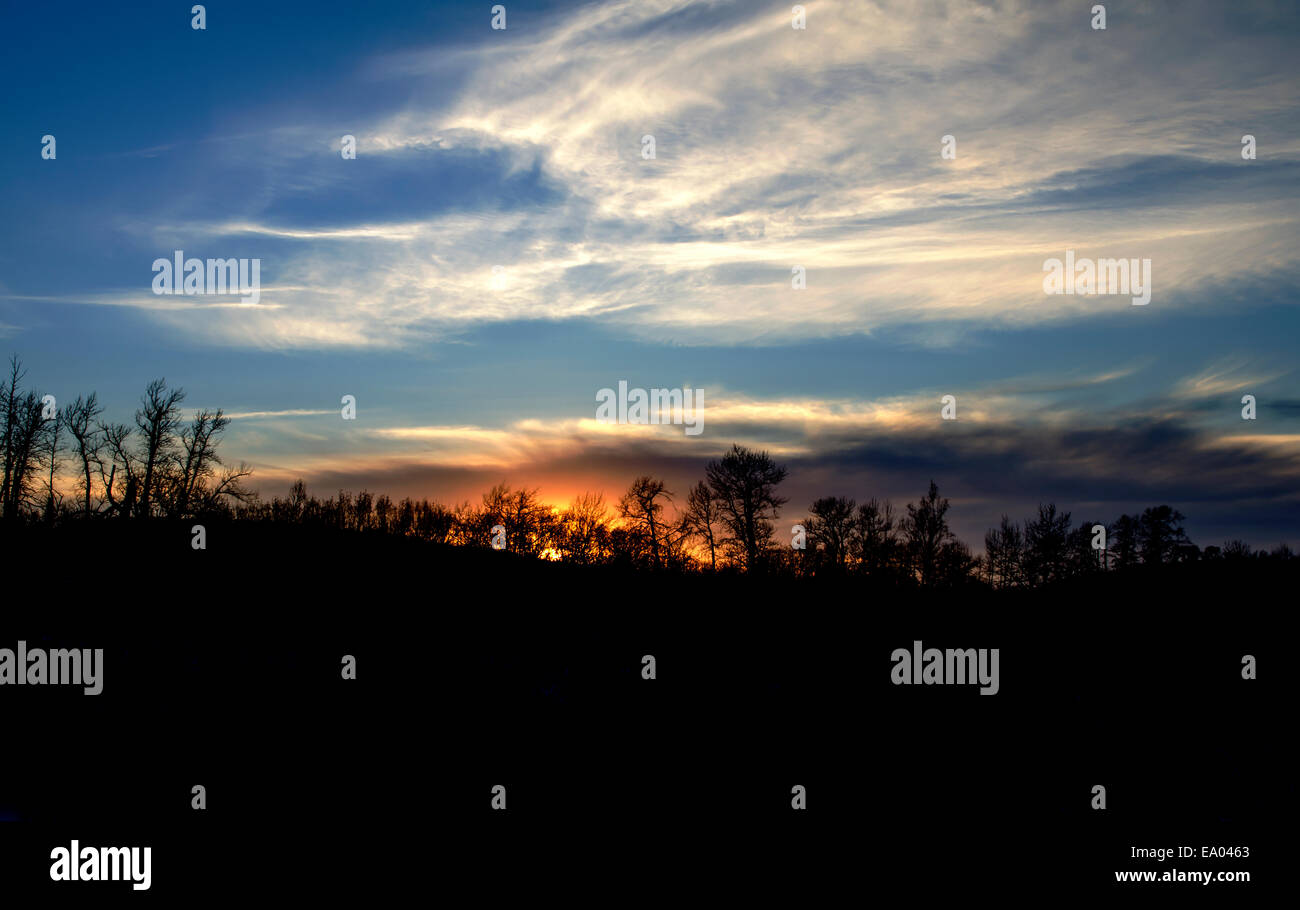 Sunset in Kincaid Park, Anchorage Stock Photo