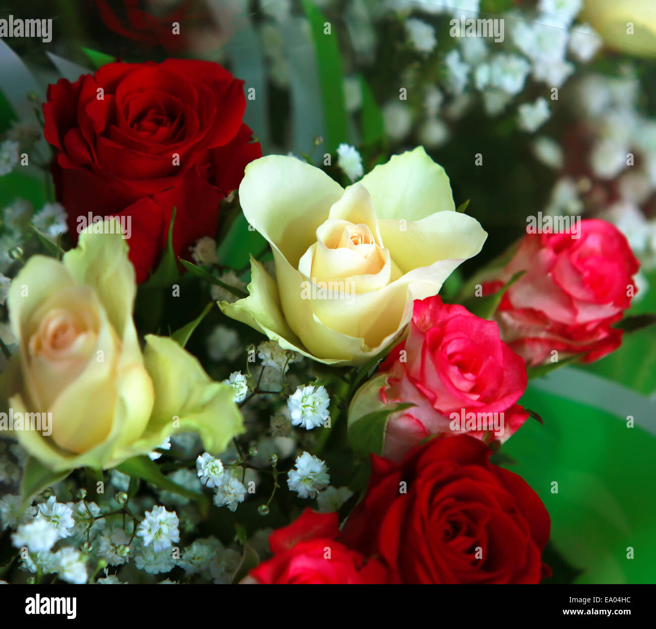 Roses in the shop Stock Photo - Alamy