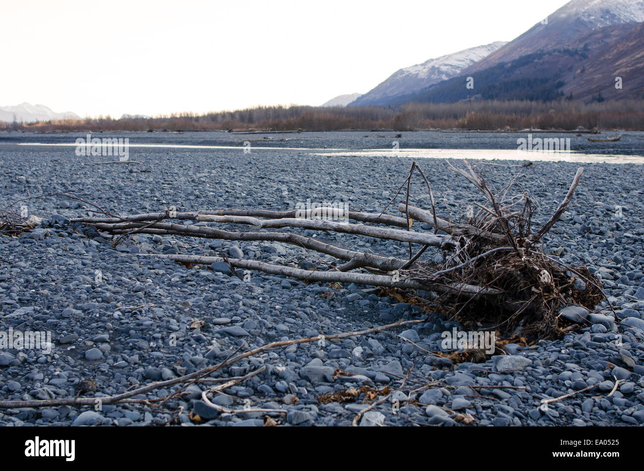 Dried out river in Kenai Fjords National Park Stock Photo