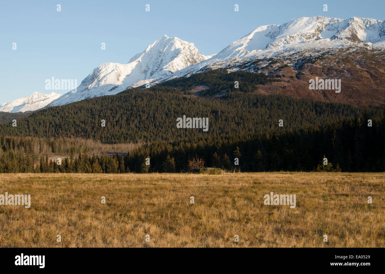 Mountains and Fields in Chugach State Park during sunset Stock Photo