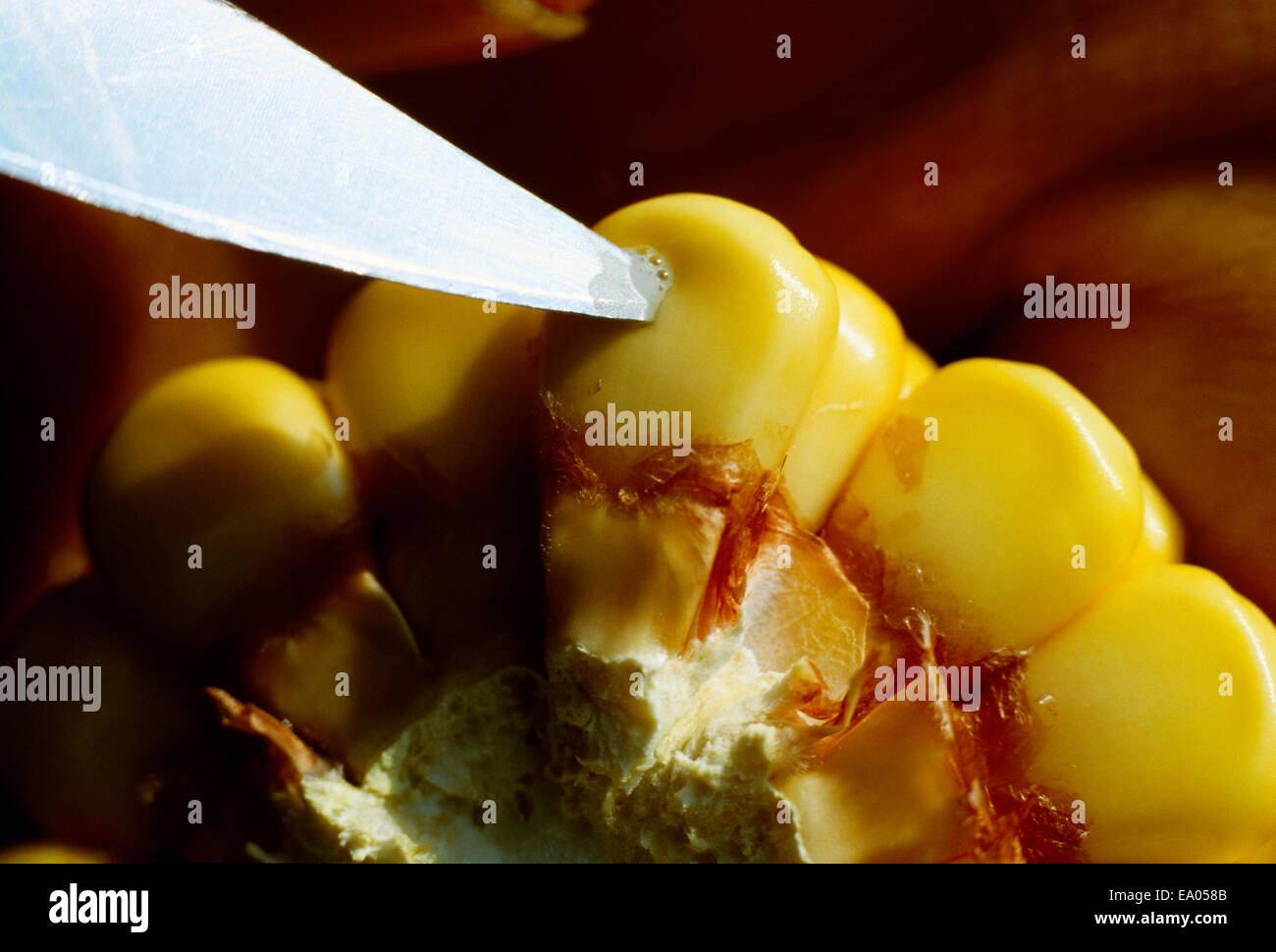 Corn kernel section hires stock photography and images Alamy