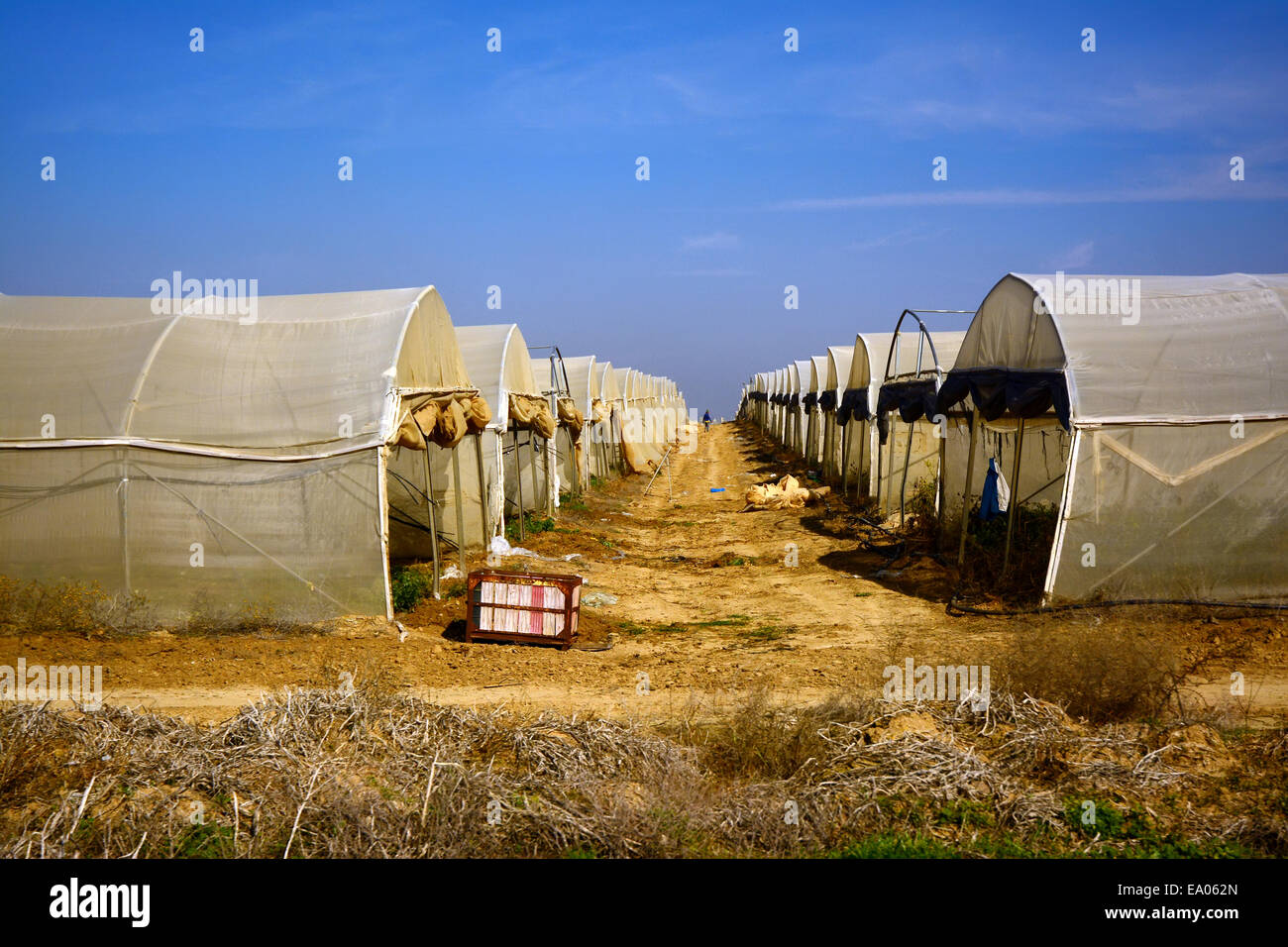 Negev agriculture hires stock photography and images Alamy