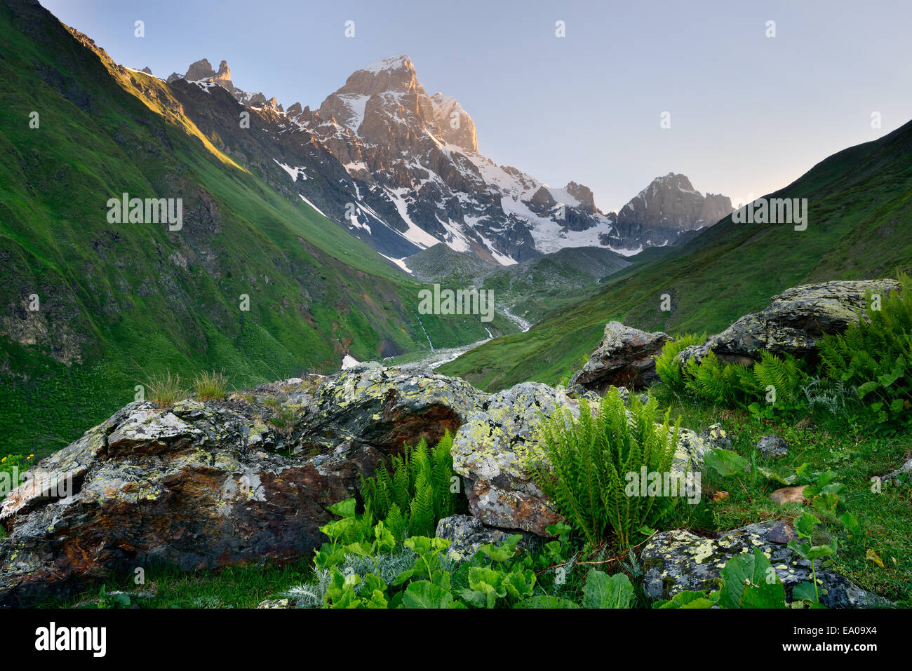 Valley and Ushba mountain peak, Svaneti, Georgia Stock Photo