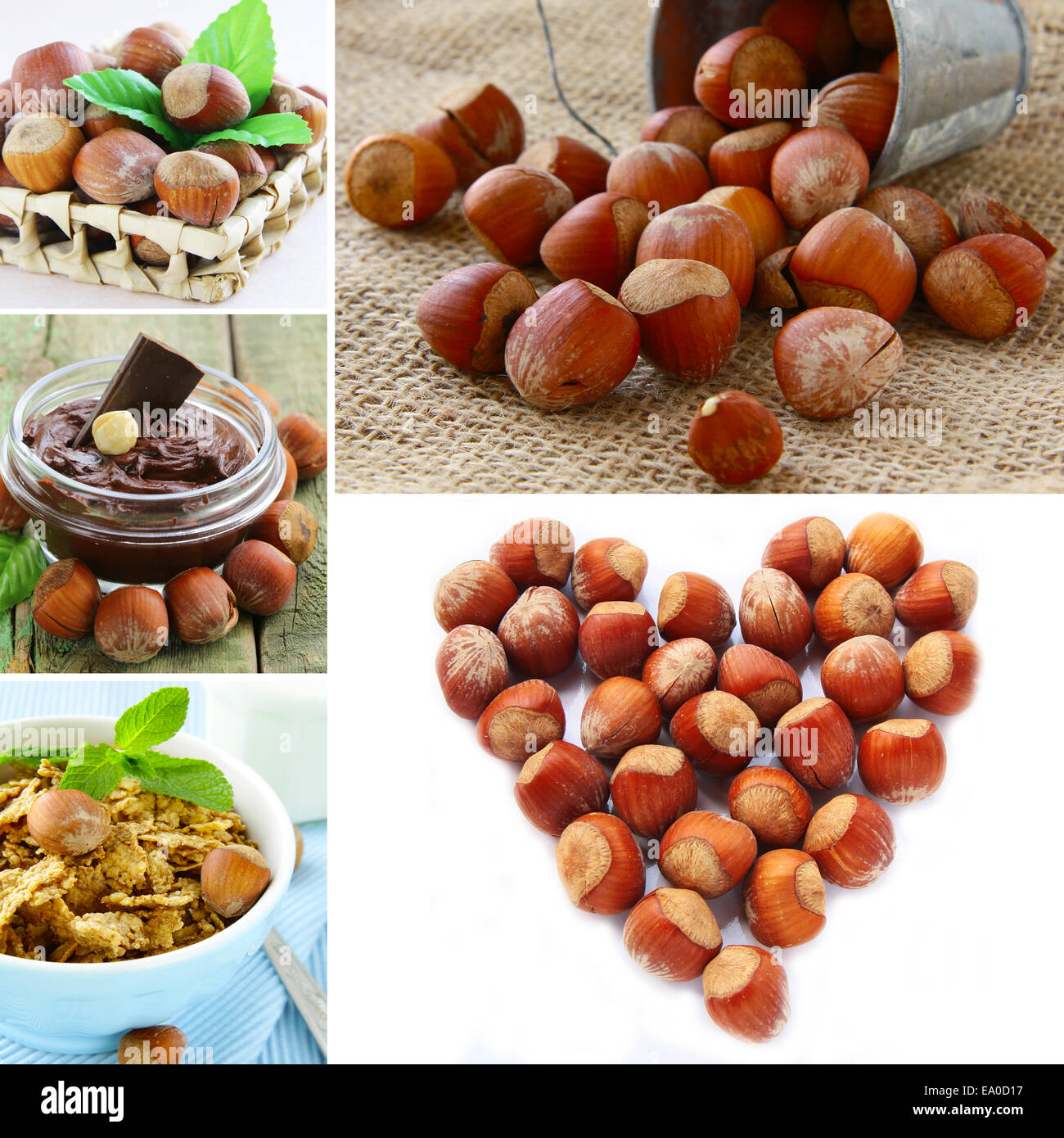 collage hazelnut, chocolate cream and muesli with nuts Stock Photo Alamy