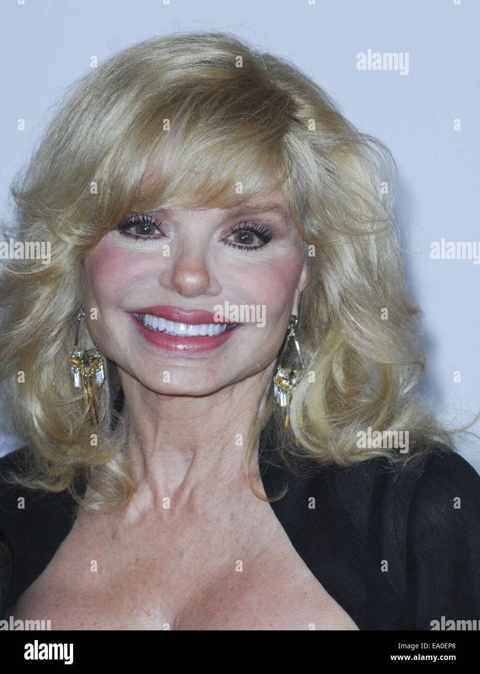 The 21st Annual Race to Erase Ms  Featuring: Loni Anderson Where: Los Angeles, California, United States When: 03 May 2014 Stock Photo