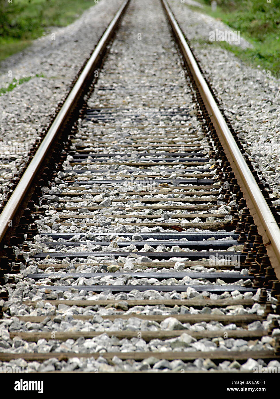 railroad tracks leading to an infinite distance Stock Photo Alamy