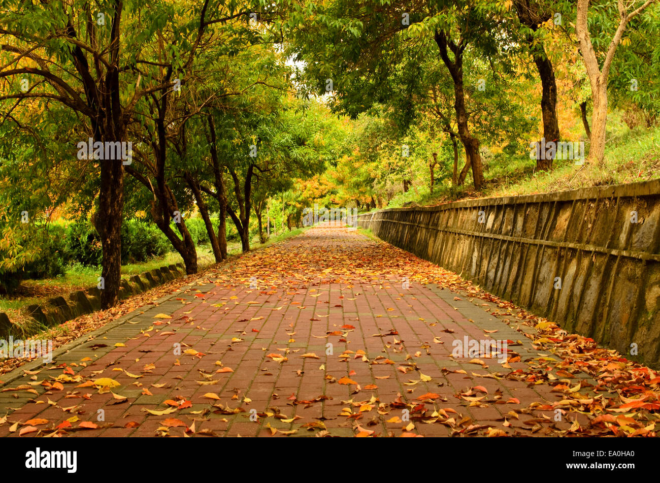 Empty Footpath High Resolution Stock Photography and Images - Alamy