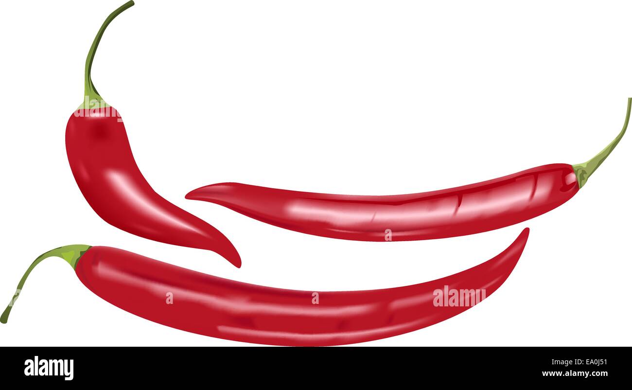 vector photo realistic chili peppers on white background Stock Vector