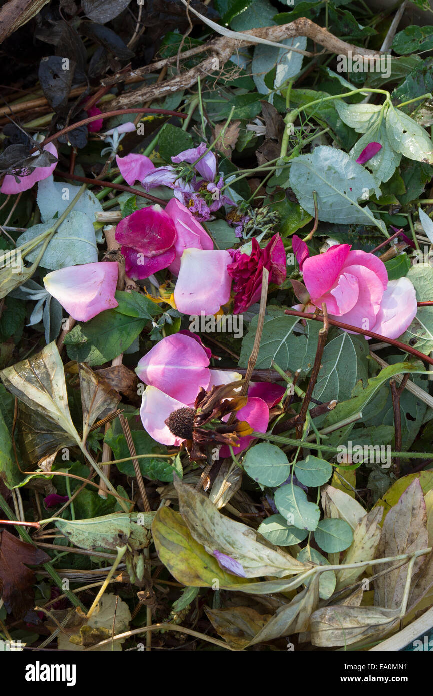 Dead flowers composting hires stock photography and images Alamy