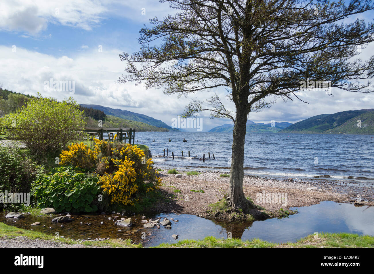 Looking down loch Ness from Dores, near inverness,  Highland, Scotland, UK Stock Photo