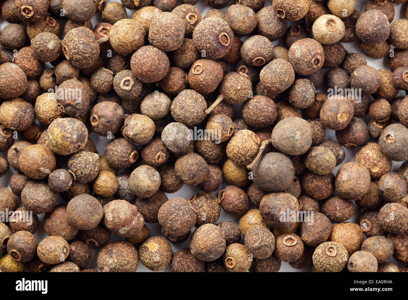 Allspice berries hires stock photography and images Alamy