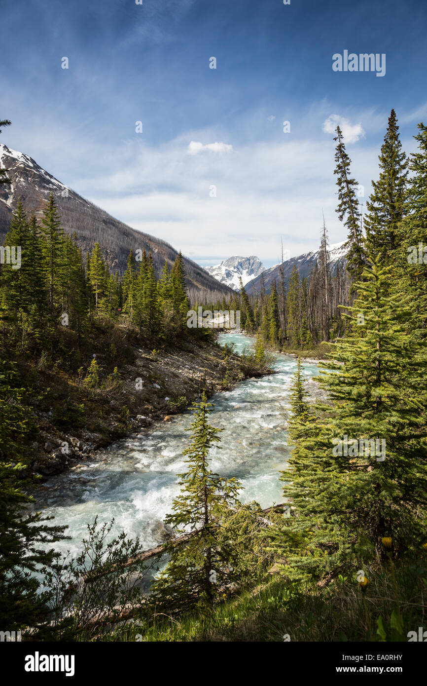 Kootenay River in Kootenay National Park, British Columbia, Canada ...