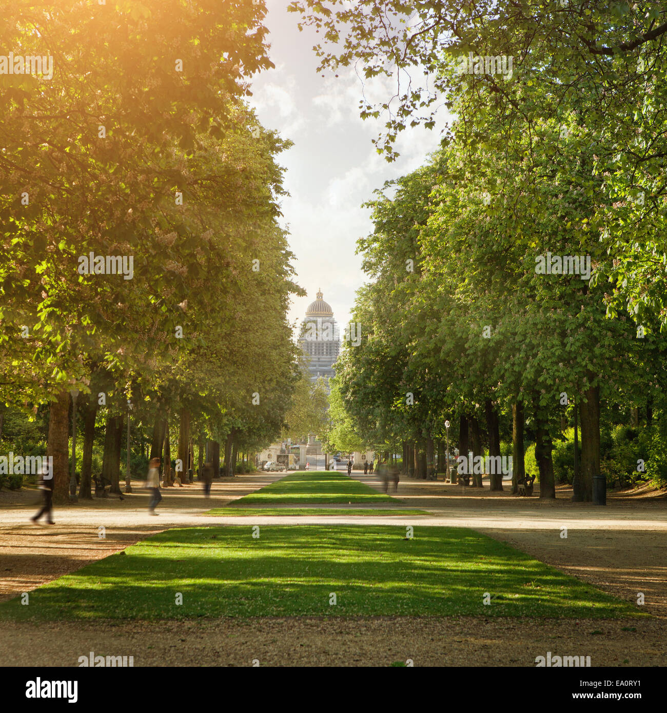 Bruxelles grass lawn green hi-res stock photography and images - Alamy