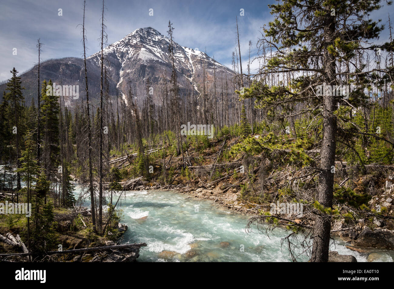 Kootenay river in canadian hi-res stock photography and images - Alamy