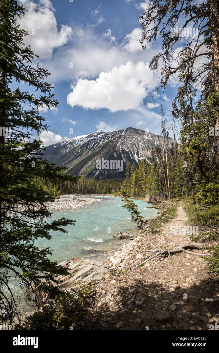 Kootenay River in Kootenay National Park, British Columbia, Canada, North America Stock Photo
