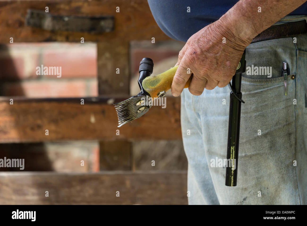 Sheep shearing machine hi-res stock photography and images - Alamy