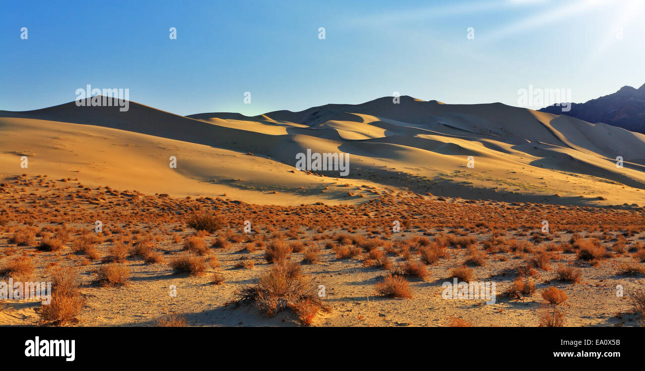 The greater sandy dune Eureka Stock Photo