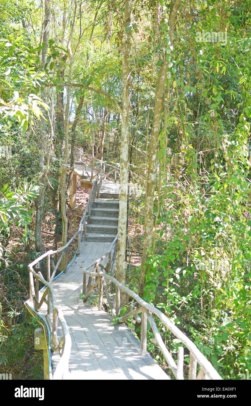 Scenic wooden bridge scene hi-res stock photography and images - Alamy