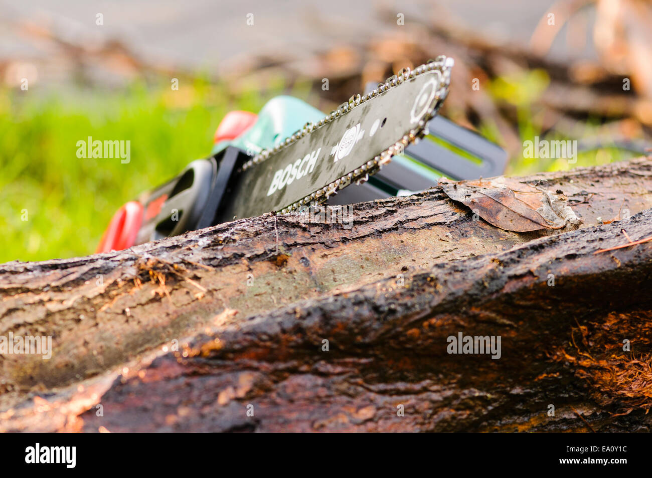 Bosch chainsaw resting on a log Stock Photo