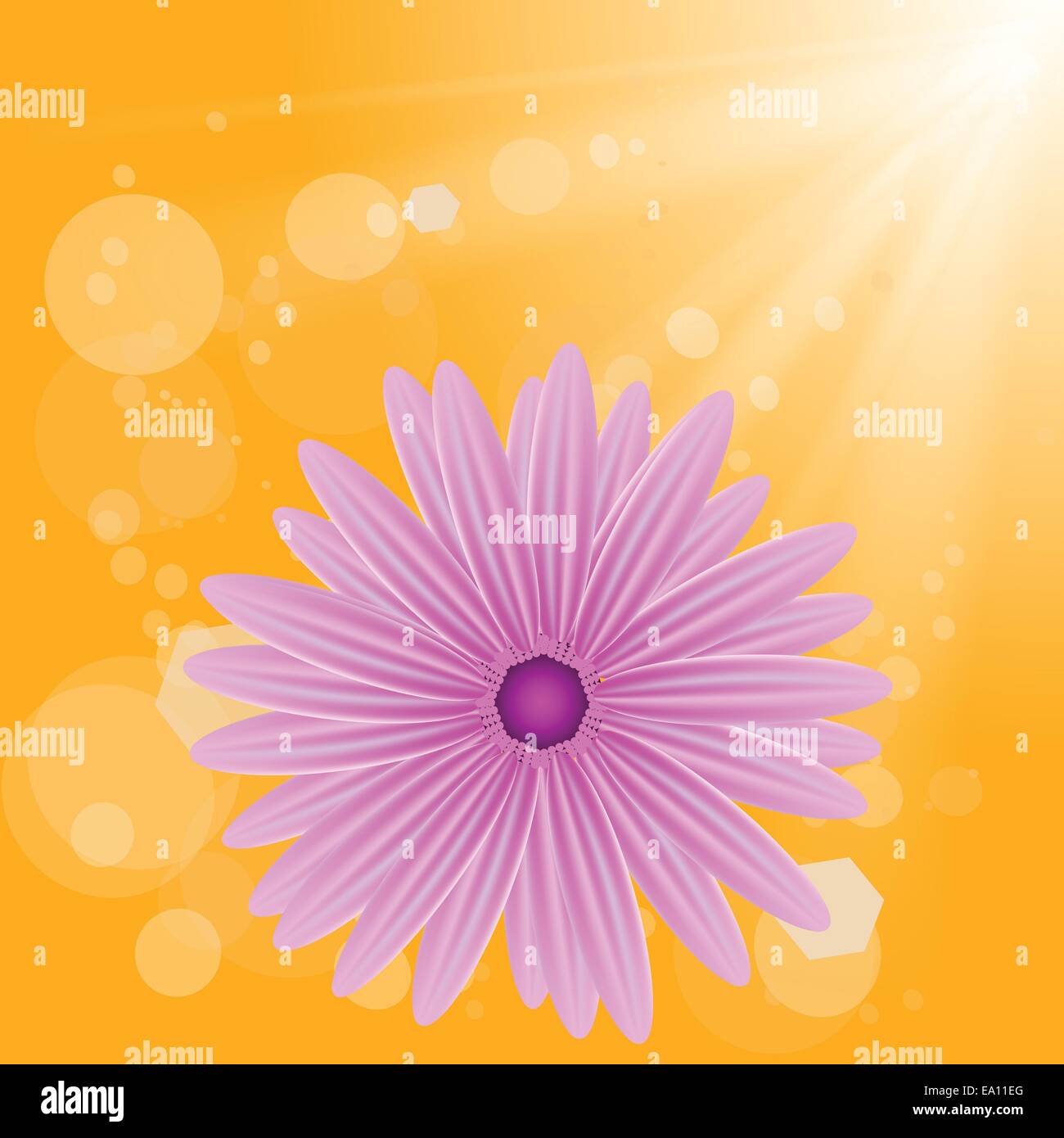 pink racing quad 6v ride on charger