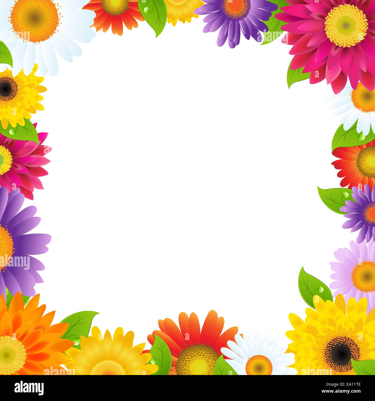 Flower frame hi-res stock photography and images - Alamy