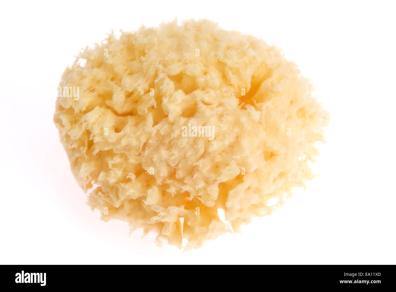 Bath sponge isolated on white background Stock Photo - Alamy