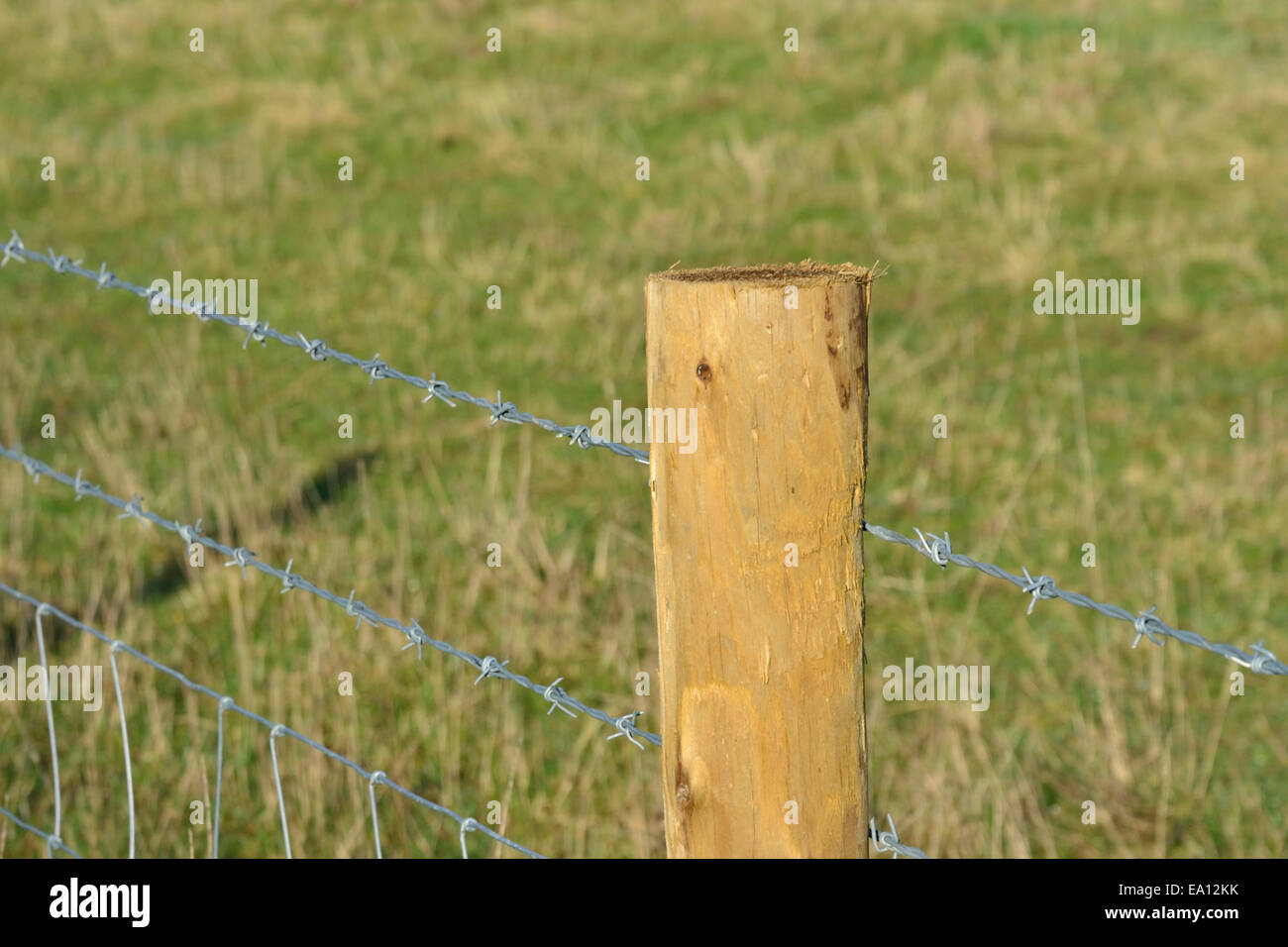 barbed wire fence post Stock Photo Alamy